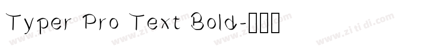 Typer Pro Text Bold字体转换